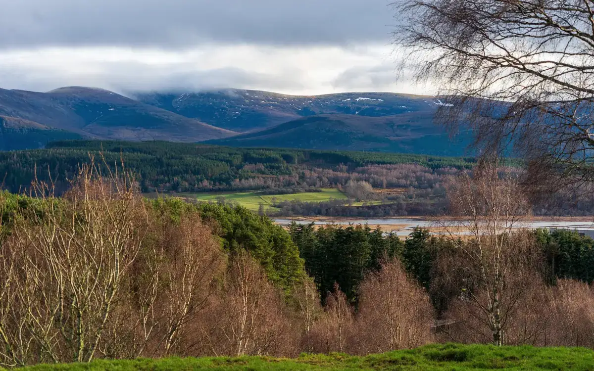 Betulle e montagne nel Cairngorms National Park, nelle Highland